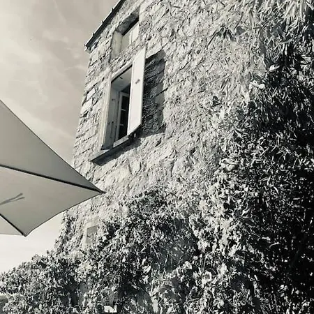 Διαμέρισμα Charmante Maison De Village Olivese
